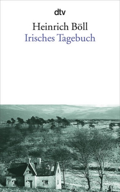 Bild zu Irisches Tagebuch