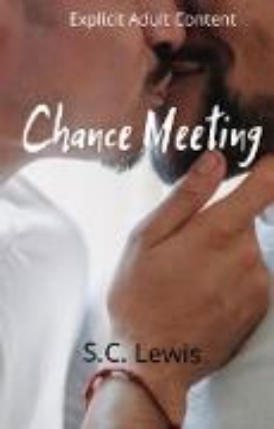 Bild von Chance Meeting (eBook)