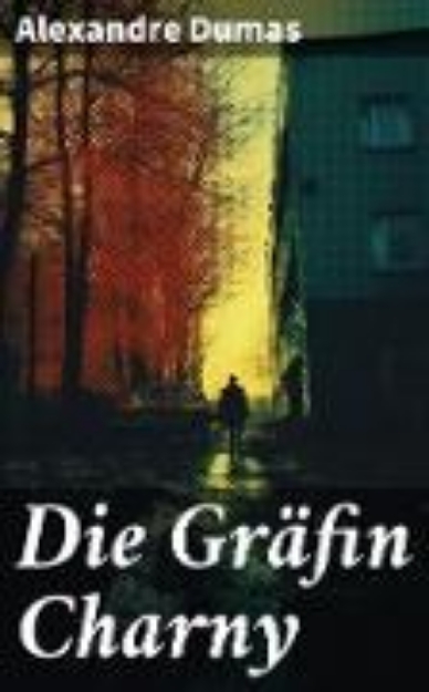 Bild zu Die Gräfin Charny (eBook)