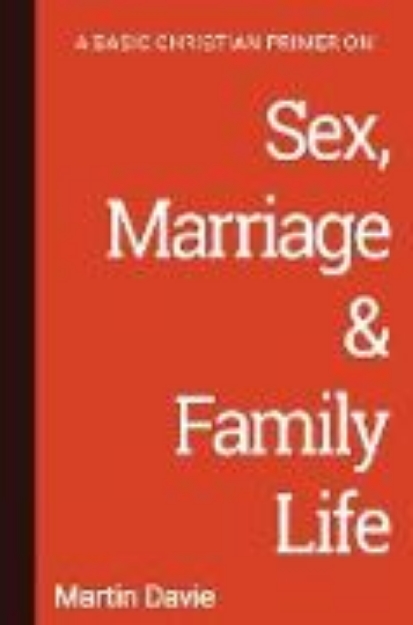 Bild zu A Basic Christian Primer on Sex, Marriage & Family Life