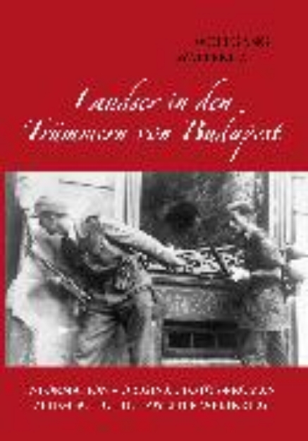 Bild von Landser in den Trümmern von Budapest (eBook)