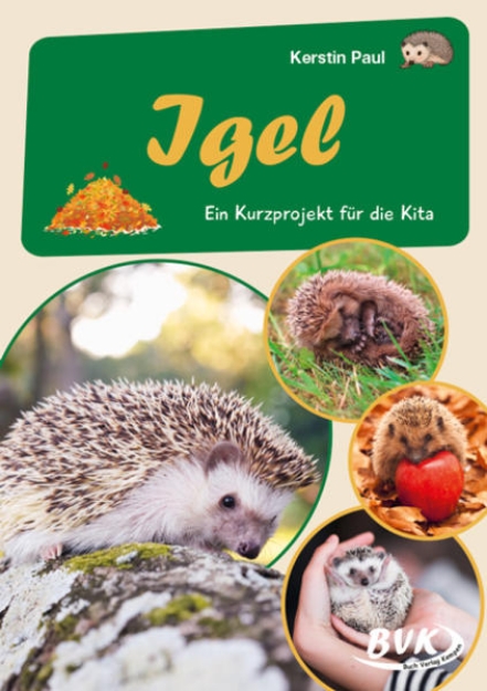 Bild von Igel