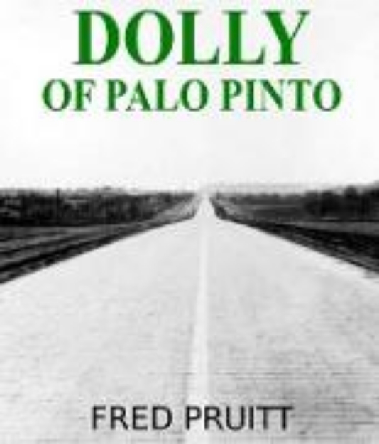 Bild von Dolly of Palo Pinto (Poconos Life, #4) (eBook)