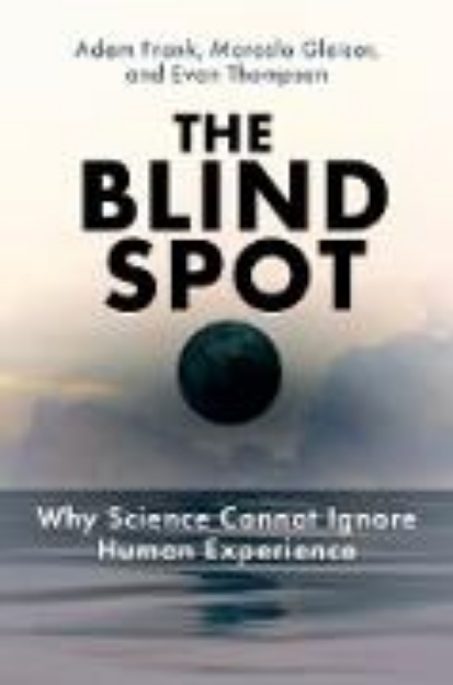 Bild zu The Blind Spot (eBook)