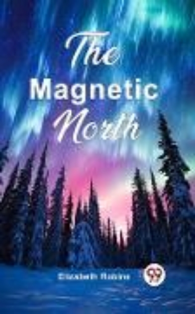 Bild zu Magnetic North (eBook)