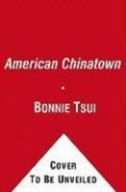 Bild von American Chinatown (eBook)