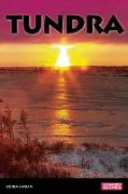 Bild von Tundra (eBook)