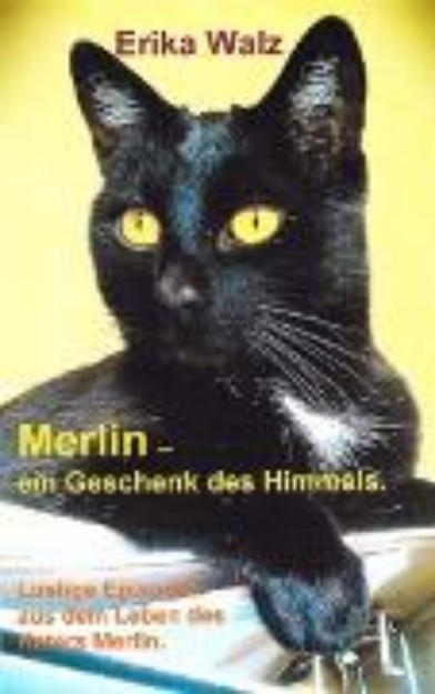 Bild zu Merlin - ein Geschenk des Himmels (eBook)