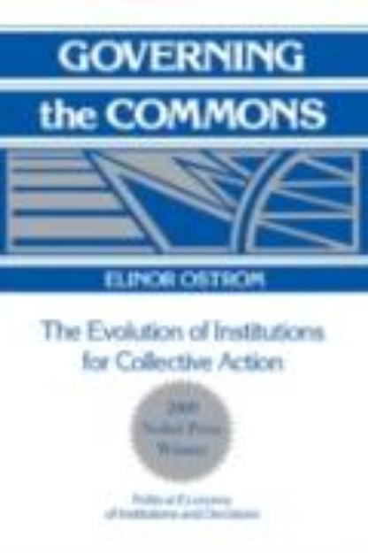 Bild zu Governing the Commons (eBook)