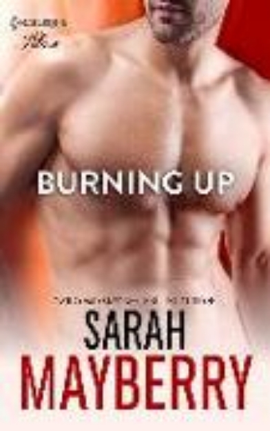 Bild von Burning Up (eBook)