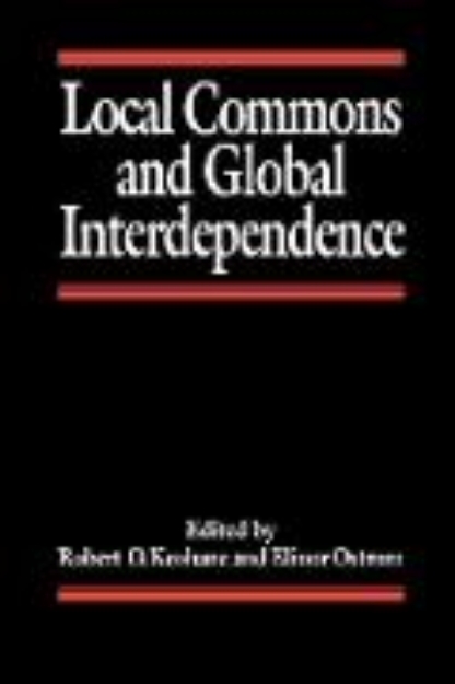 Bild von Local Commons and Global Interdependence