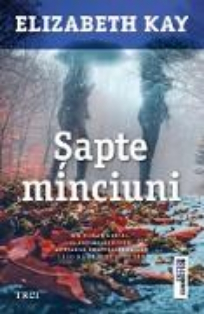 Bild von Sapte minciuni (eBook)