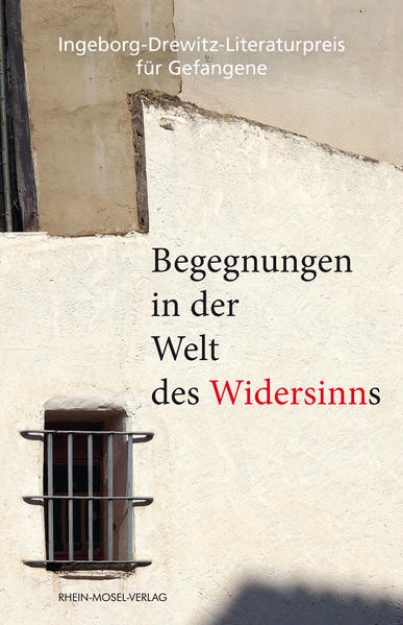 Bild von Begegnungen in der Welt des Widersinns (eBook)