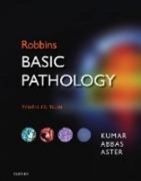 Bild von Robbins Basic Pathology E-Book (eBook)