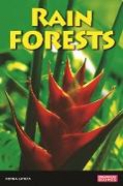 Bild zu Rain Forests (eBook)