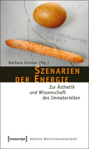 Bild von Szenarien der Energie (eBook)