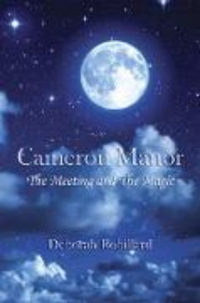 Bild von Cameron Manor The Meeting and the Magic (eBook)