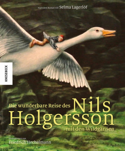 Bild von Die wunderbare Reise des Nils Holgersson mit den Wildgänsen