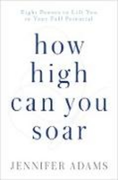 Bild von How High Can You Soar (eBook)