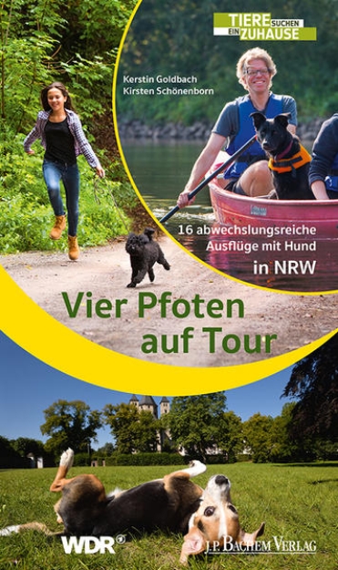 Bild zu Vier Pfoten auf Tour (eBook)