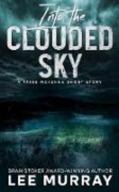 Bild von Into the Clouded Sky (Taine McKenna Adventures, #6) (eBook)