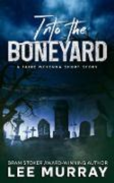 Bild von Into the Boneyard (Taine McKenna Adventures, #8) (eBook)