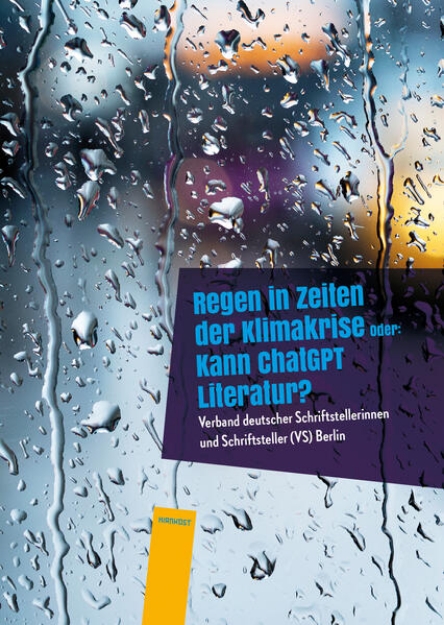 Bild von Regen in Zeiten der Klimakrise (eBook)