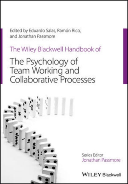 Bild von The Wiley Blackwell Handbook of the Psychology of Team Working and Collaborative Processes (eBook)