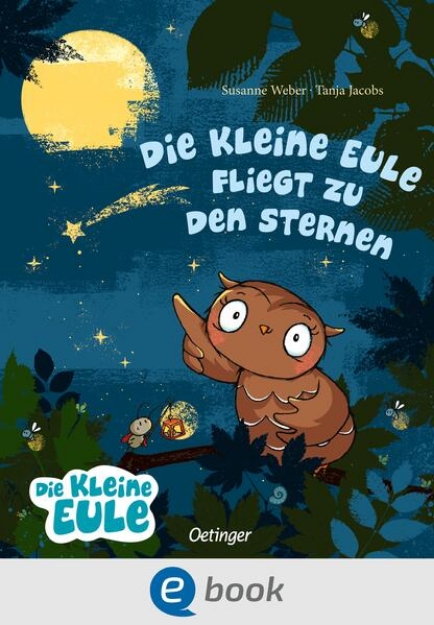 Bild von Die kleine Eule fliegt zu den Sternen (eBook)