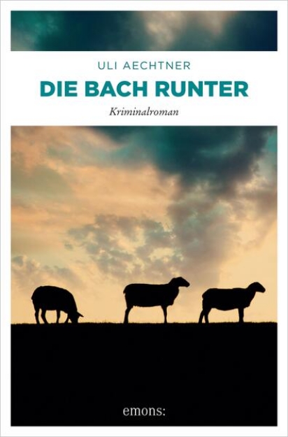 Bild von Die Bach runter (eBook)