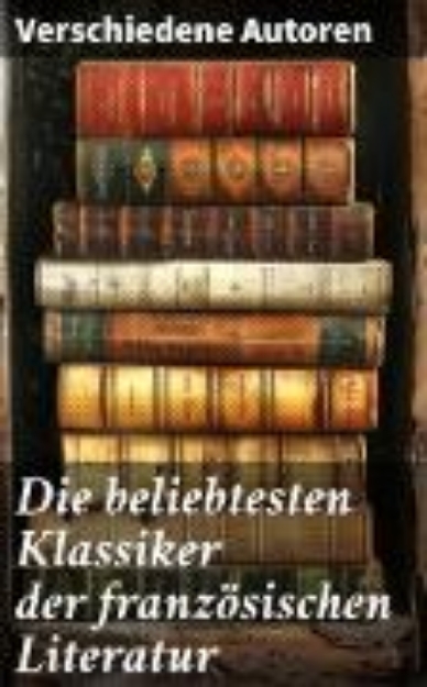 Bild von Die beliebtesten Klassiker der französischen Literatur (eBook)