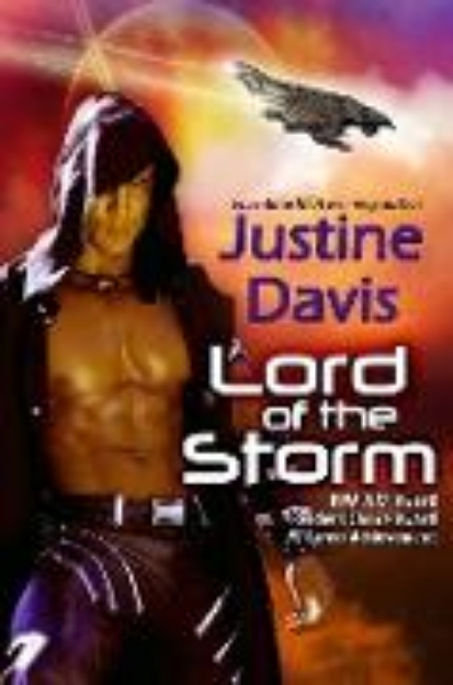 Bild von Lord of the Storm (eBook)