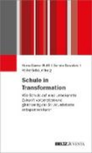 Bild von Schule in Transformation (eBook)