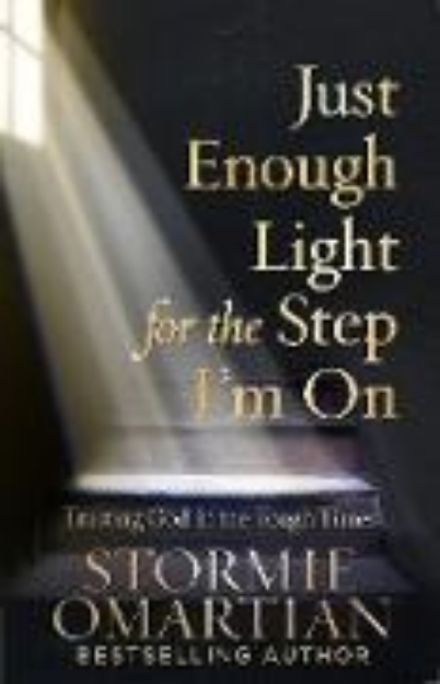 Bild von Just Enough Light for the Step I'm On (eBook)