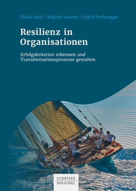 Bild von Resilienz in Organisationen (eBook)