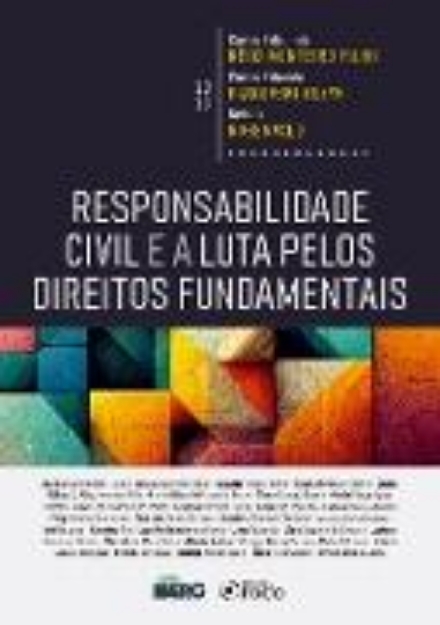 Bild von Responsabilidade Civil e a Luta pelos Direitos Fundementais (eBook)