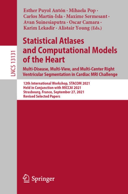 Bild von Statistical Atlases and Computational Models of the Heart. Multi-Disease, Multi-View, and Multi-Center Right Ventricular Segmentation in Cardiac MRI Challenge