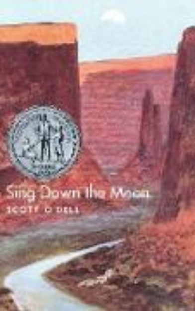 Bild von Sing Down the Moon (eBook)