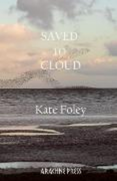 Bild von Saved to Cloud (eBook)