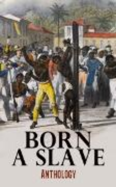 Bild von Born a Slave: Anthology (eBook)