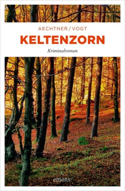 Bild von Keltenzorn (eBook)