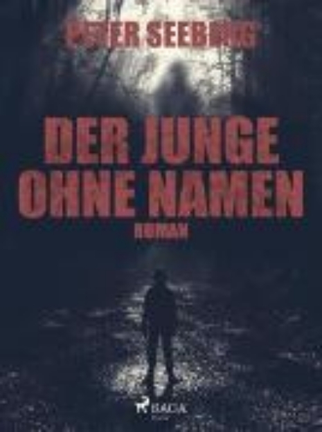 Bild von Der Junge ohne Namen (eBook)