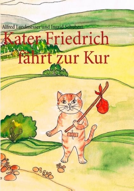 Bild von Kater Friedrich fährt zur Kur