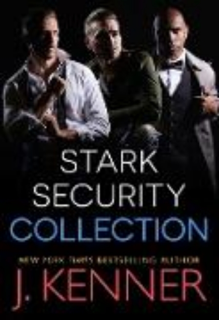 Bild von Stark Security (eBook)