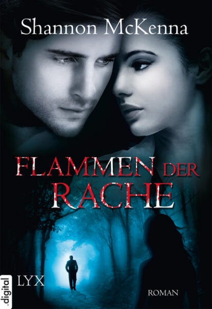 Bild von Flammen der Rache (eBook)