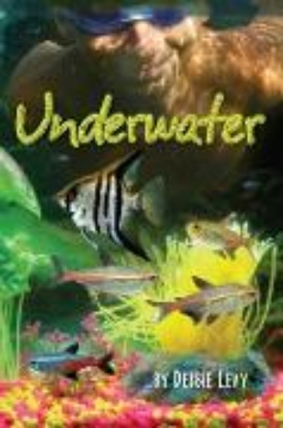 Bild von Underwater (eBook)