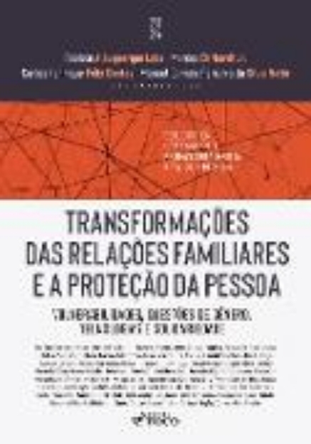 Bild von Transformações das Relações Familiares e a Proteção da Pessoa (eBook)