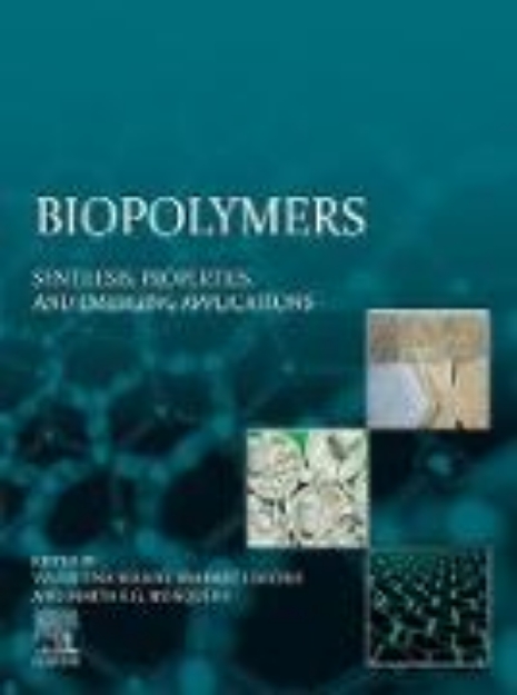 Bild von Biopolymers (eBook)