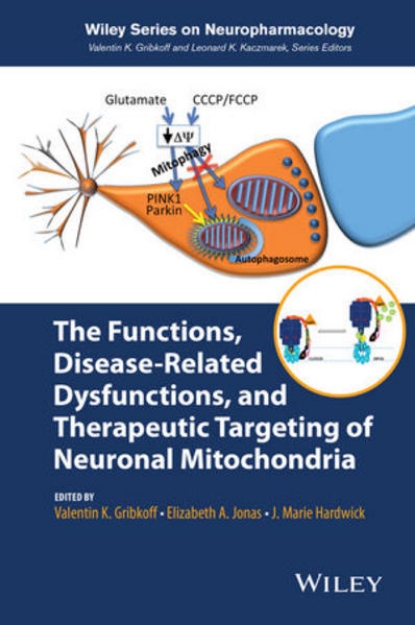 Bild zu The Functions, Disease-Related Dysfunctions, and Therapeutic Targeting of Neuronal Mitochondria (eBook)