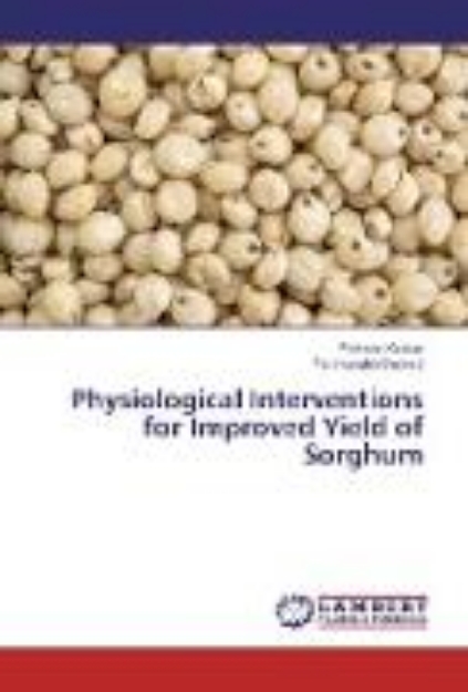 Bild von Physiological Interventions for Improved Yield of Sorghum